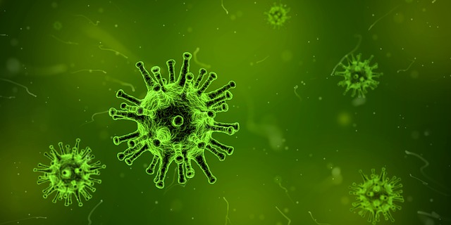 Flu Vaccination - Influenza Virus