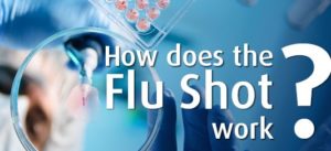 How Does Flu Vaccination Work? 